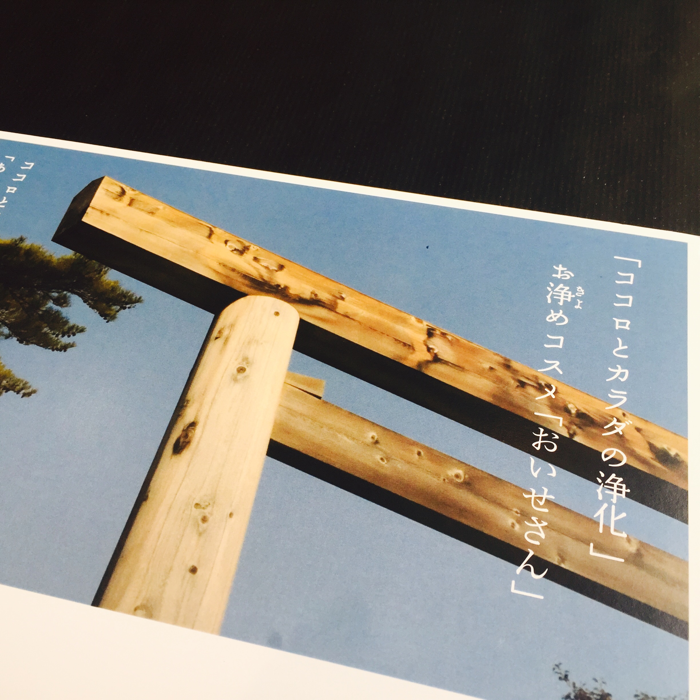 【アンバサダーブログVol.7】テラリウム表参道に神社現る⁈
