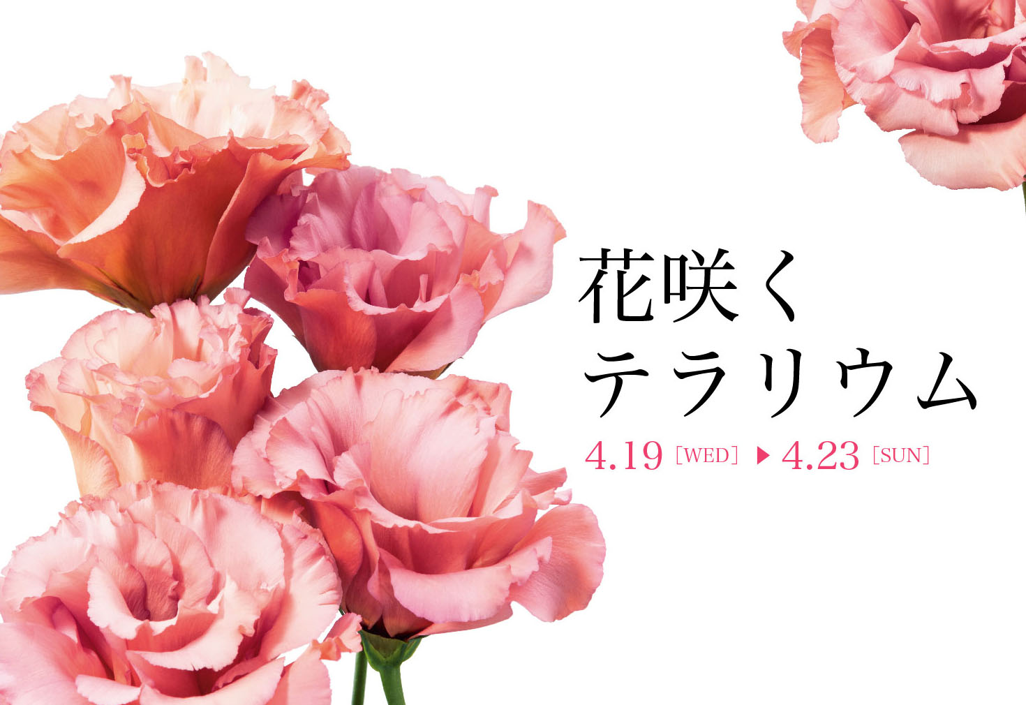 花の香りに包まれる春満喫イベント「花咲くテラリウム」